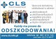 Zobacz og�oszenie
