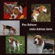 Zobacz og�oszenie