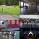Zobacz og�oszenie